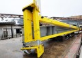 Slewing wall jib crane WSK LV-250
