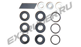 TSI 2000-0209-1001T. Sealing set for the B-metering pump