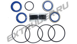 Seal kit of the hydraulic cylinder TSI 2000-0213-1001